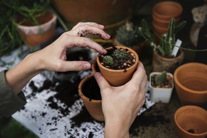 Small Space Gardening
